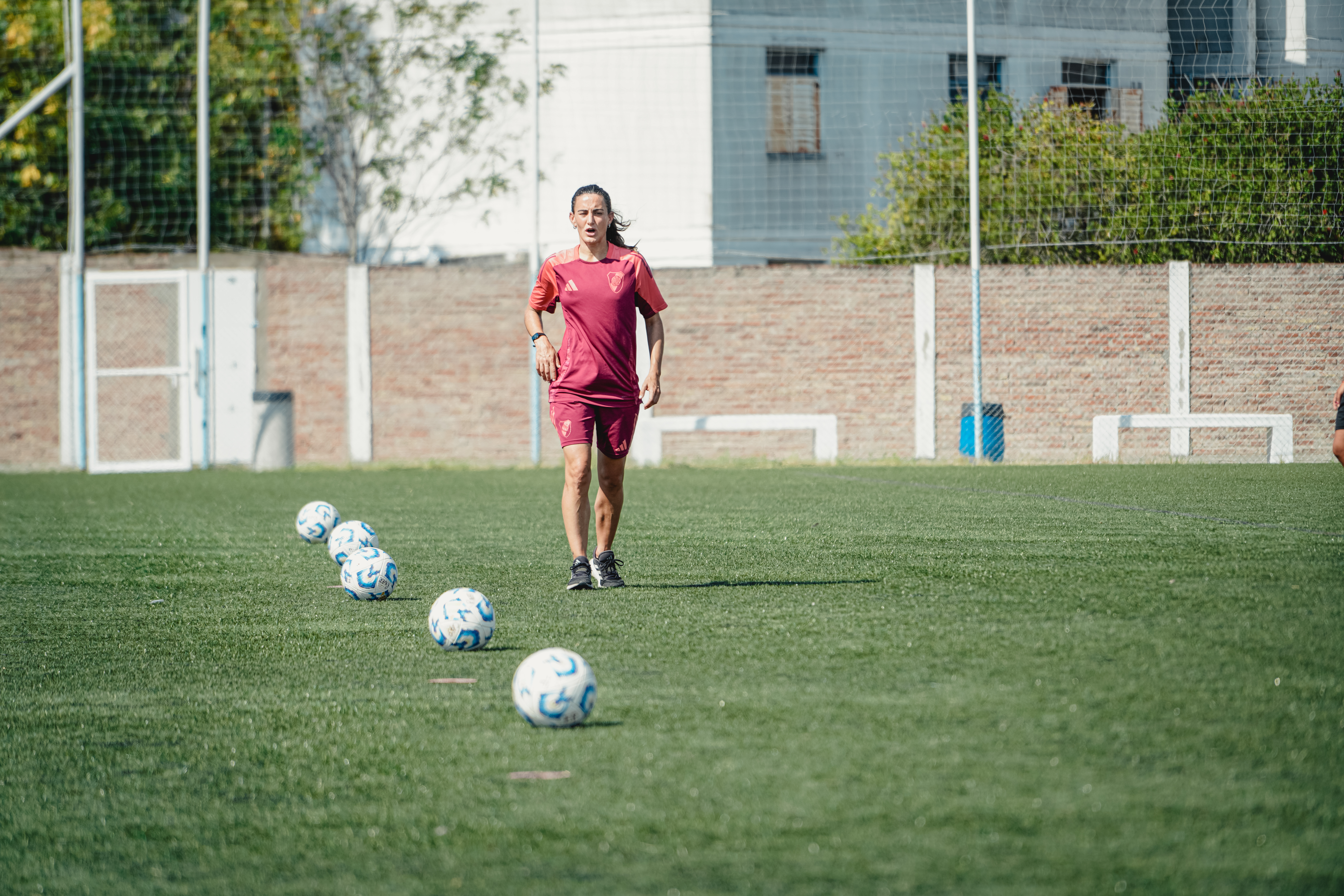 Jime Tello - Imagen 23