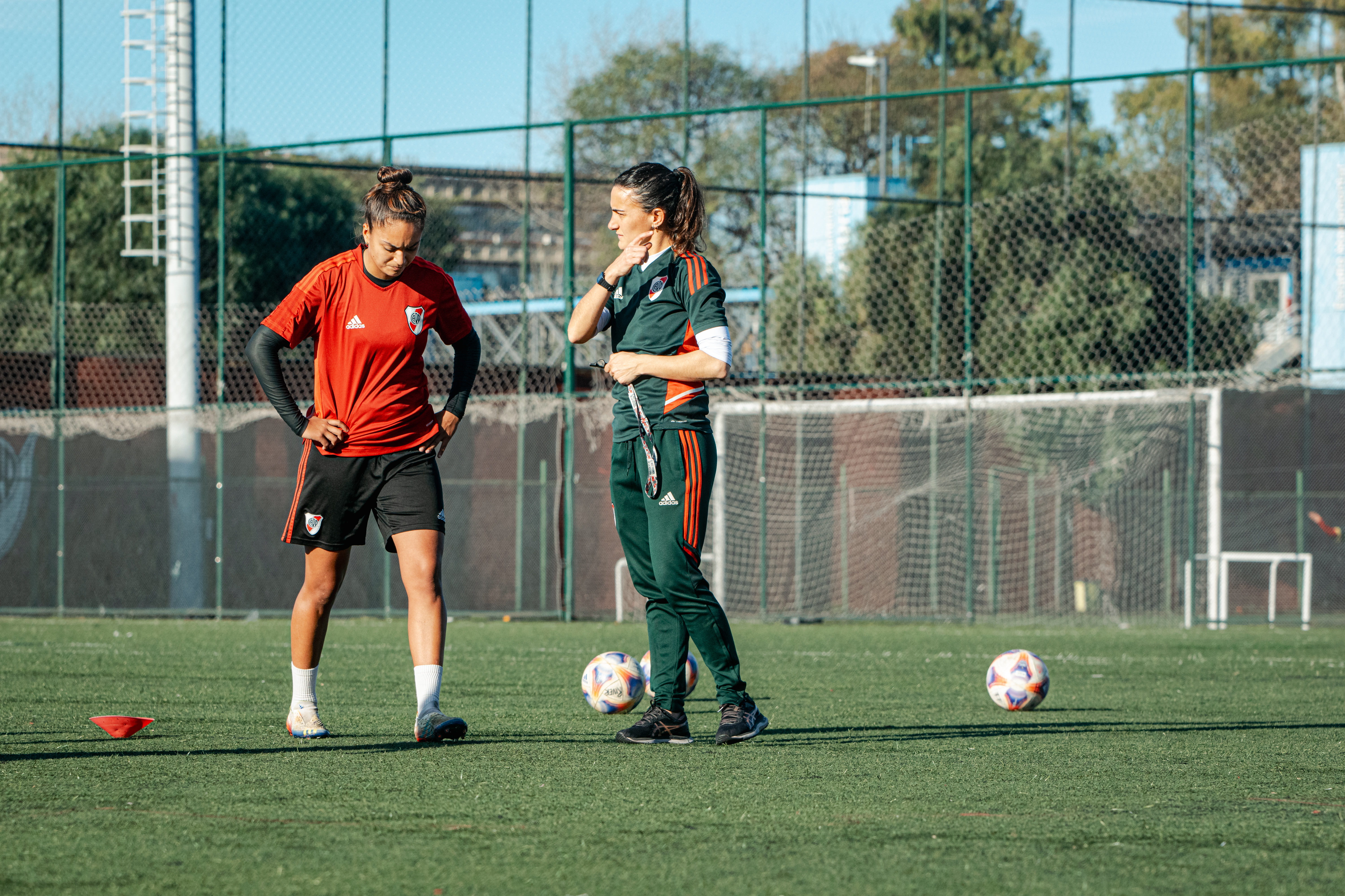 Jime Tello - Imagen 4