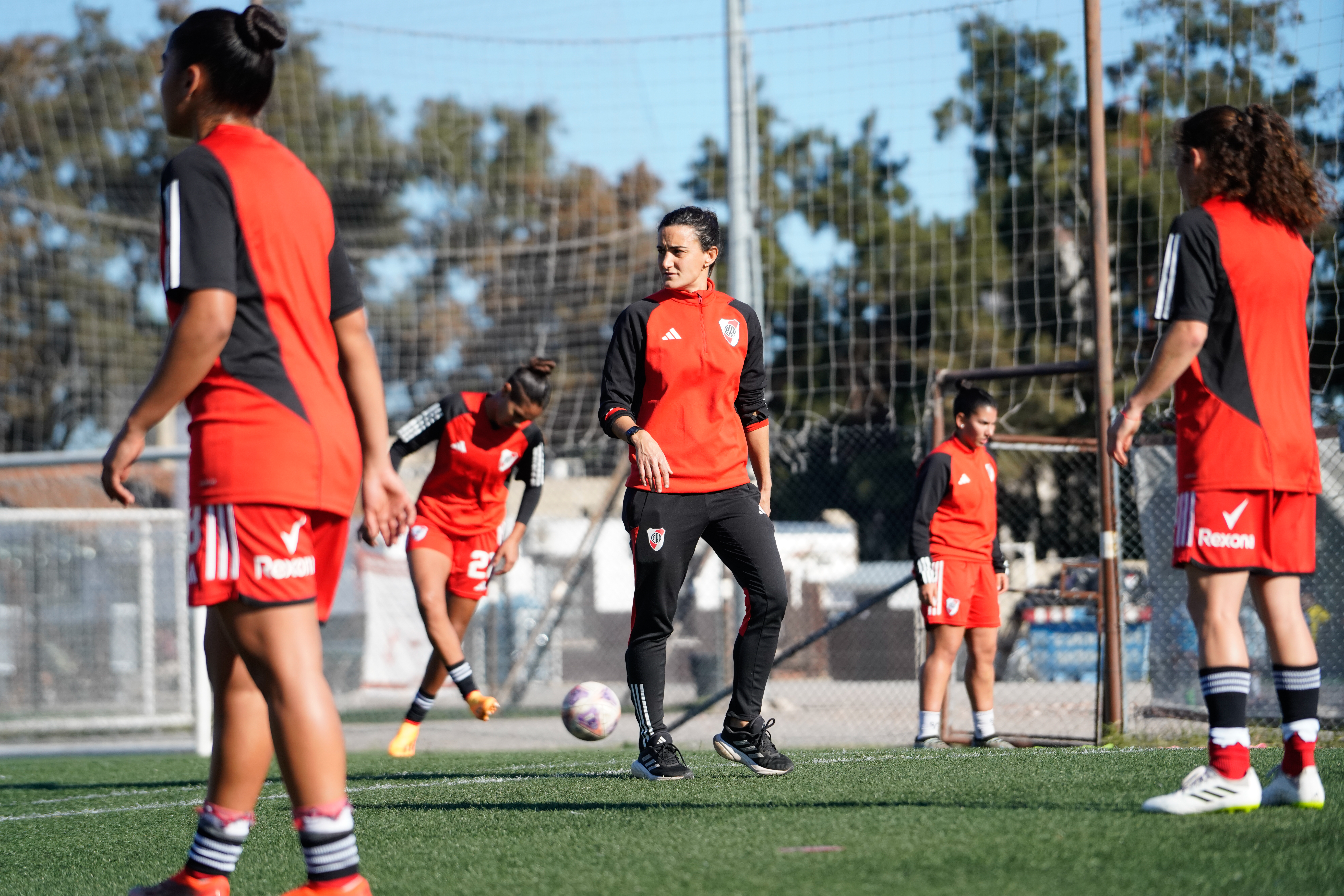 Jime Tello - Imagen 22