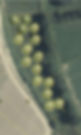 Vereinswiese_Obstsorten_edited.jpg