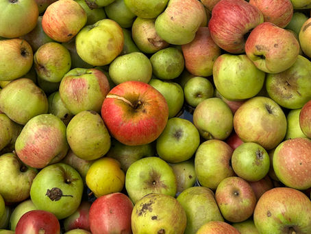 Äpfel und Birnen für Obstbrand
