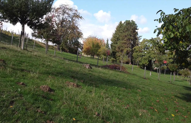 Herbststimmung am Gaishof
