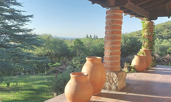 1 fb principal dos venados_edited_edited