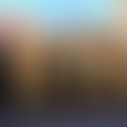 AWARDS AND ACHIEVEMENTS