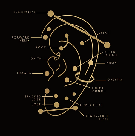Ear_Piercing_Visual_Guide_Ear_with_every_ear_piercing_labeled_edited.png