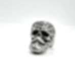 result_img_2021_12_12_22_21_43