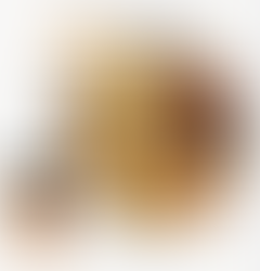 Myodural bridge illustration showing C1–C2 connection between neck muscles, dura mater, brainstem, and spinal cord