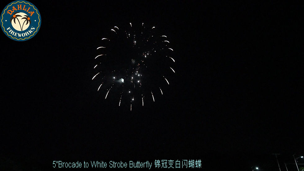 Thumbnail: DF-S037  5"brocade to white strobe butterfly