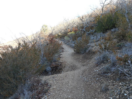 Chemin pour aller au crêtes
