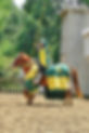 Joust 2.jpg