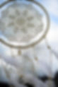 Dream Catcher.jpg