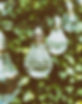 Lightbulb Water.jpg