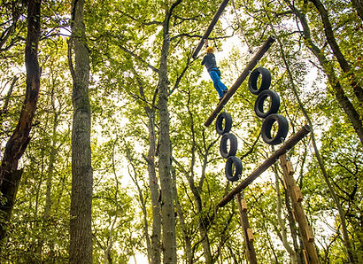 Adventures in the forest