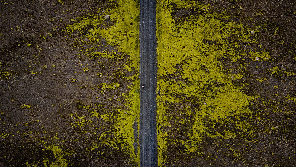 lowres-74.jpg