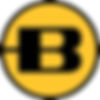 Bergara logo.jpg