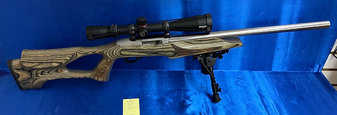 376 b4 ruger 10/22 22lr