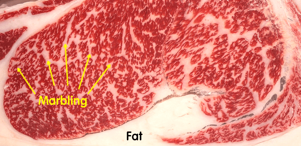 daging Wagyu