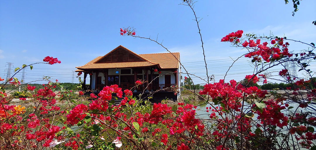 20200428_133647_HDR - Copy.jpg