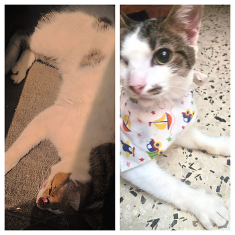 WhatsApp Image 2026-01-14 at 10.43.37 PM.jpeg