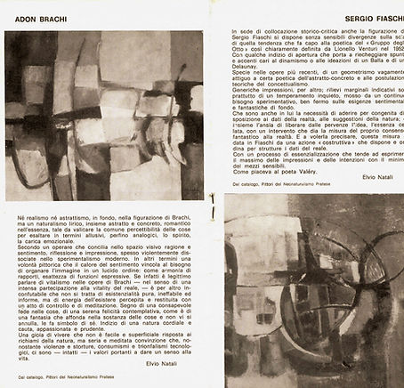 Presentazione di Elvio Natali (per i due pittori)_edited.jpg