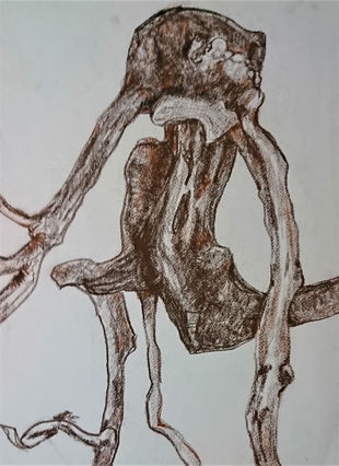 Radice 24x31 Pastello bruno su carta.jpg