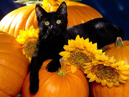 Happy First Day of Fall!!