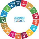 UN Sustainable Development Goals wheel representing the 17 global goals