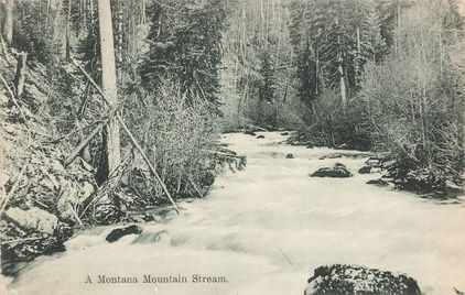 Montana_036