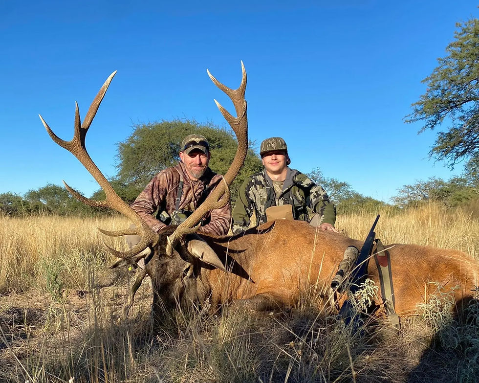 Hunters with a mature free-range red stag showing its crowned antlers in Argentina