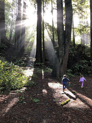 Kids in Redwoods.jpeg