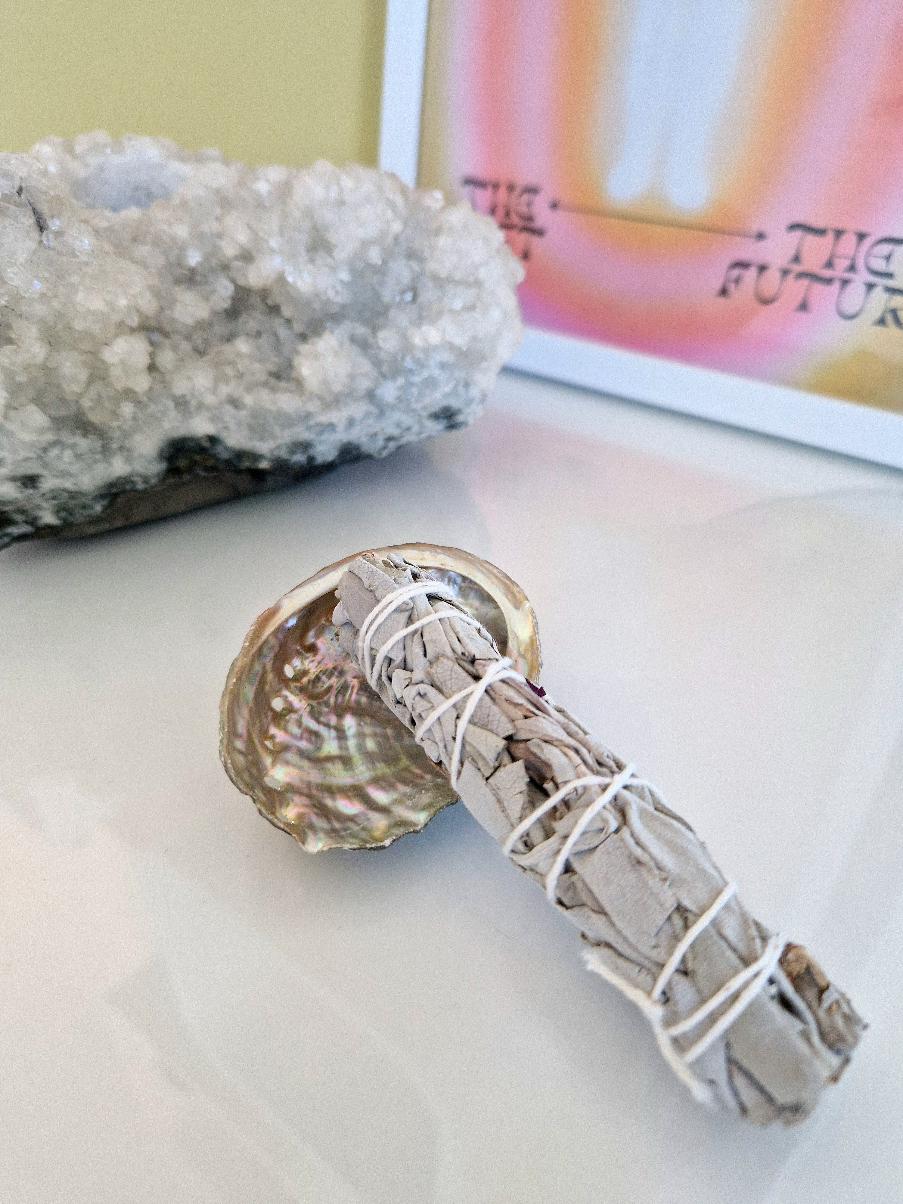Abalone Shell & Mini Sage Smudge