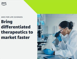 Screenshot 2022-08-04 140427_edited.jpg