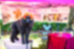 Business Booth