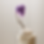 Captura de pantalla 2024-09-02 a las 11.12.10.png