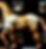 The Horse, Thinh Truong_3.png