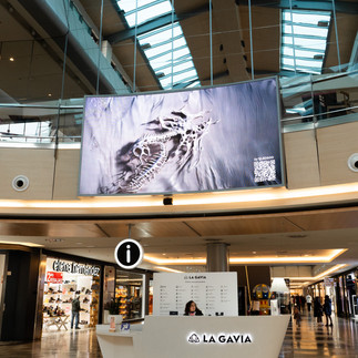 Pantalla contenidos arte digital la gavia