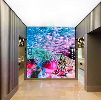 Pantalla baños l'illa