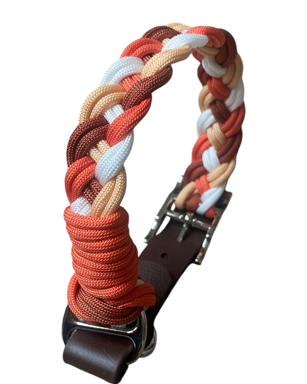 Miniaturbild: Hundehalsband Alltagsfreude 