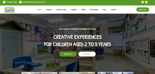 Web Design