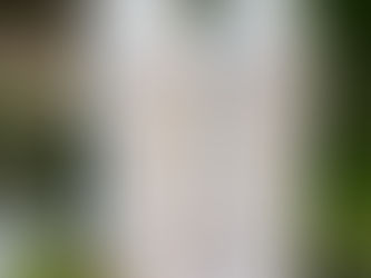 From Stressed to Blessed: How Your Hair Reflects Your Health