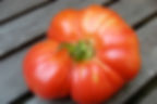 Caspian Pink Tomato