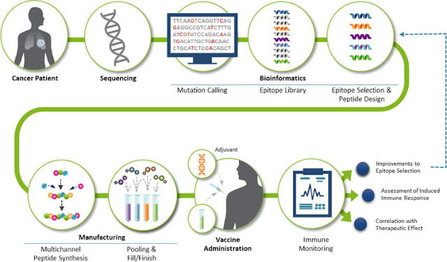 Aldous, A.R., Dong, J.Z., Personalized neoantigen vaccines: a new approach to cancer immunotherapy, Bioorganic & Medicinal Chemistry (2017)