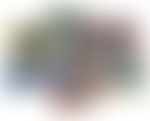 Plot Outline and Development