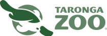 Asset 10_3x31.png