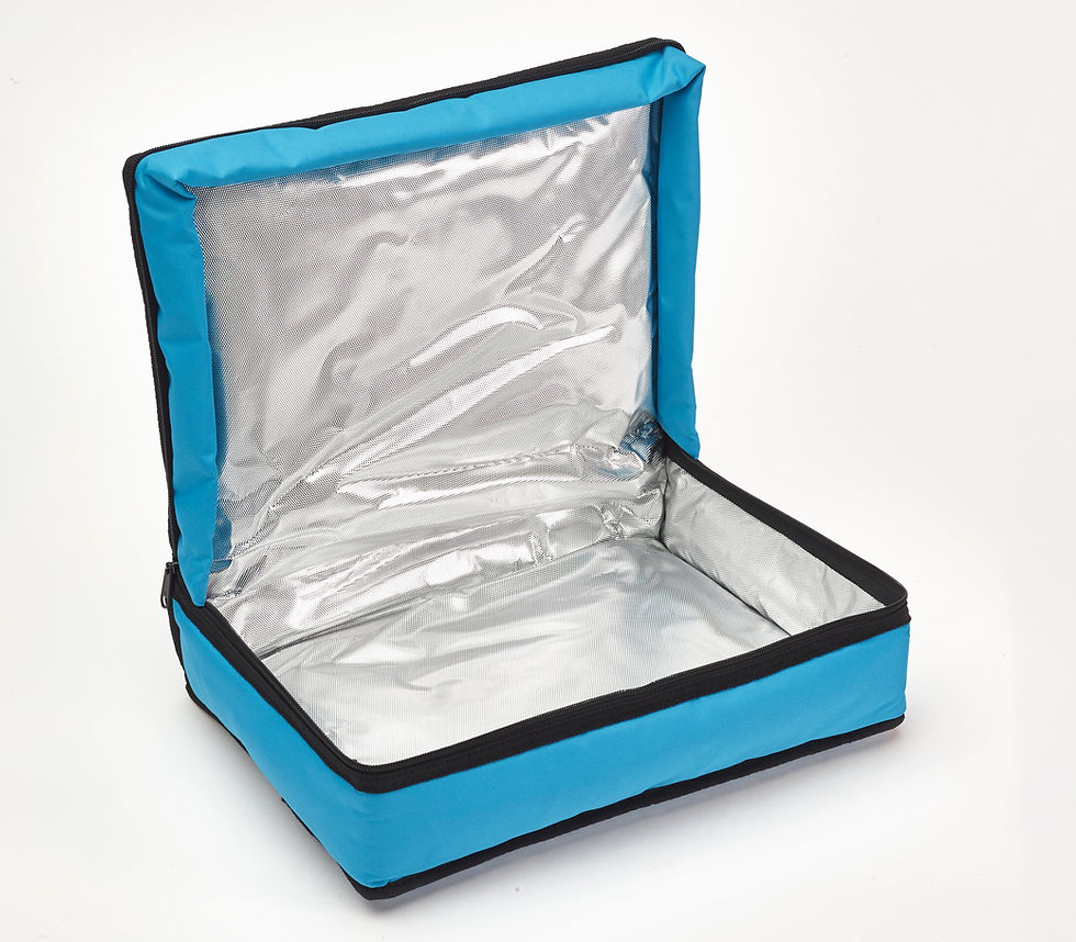 Cold Chain Vaccine Bags and Accessories
