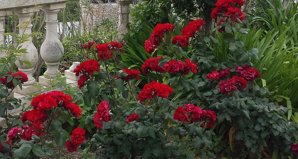 Jardinier La Colle sur Loup