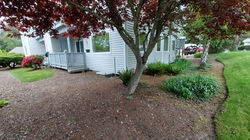 23 Grant St #B1