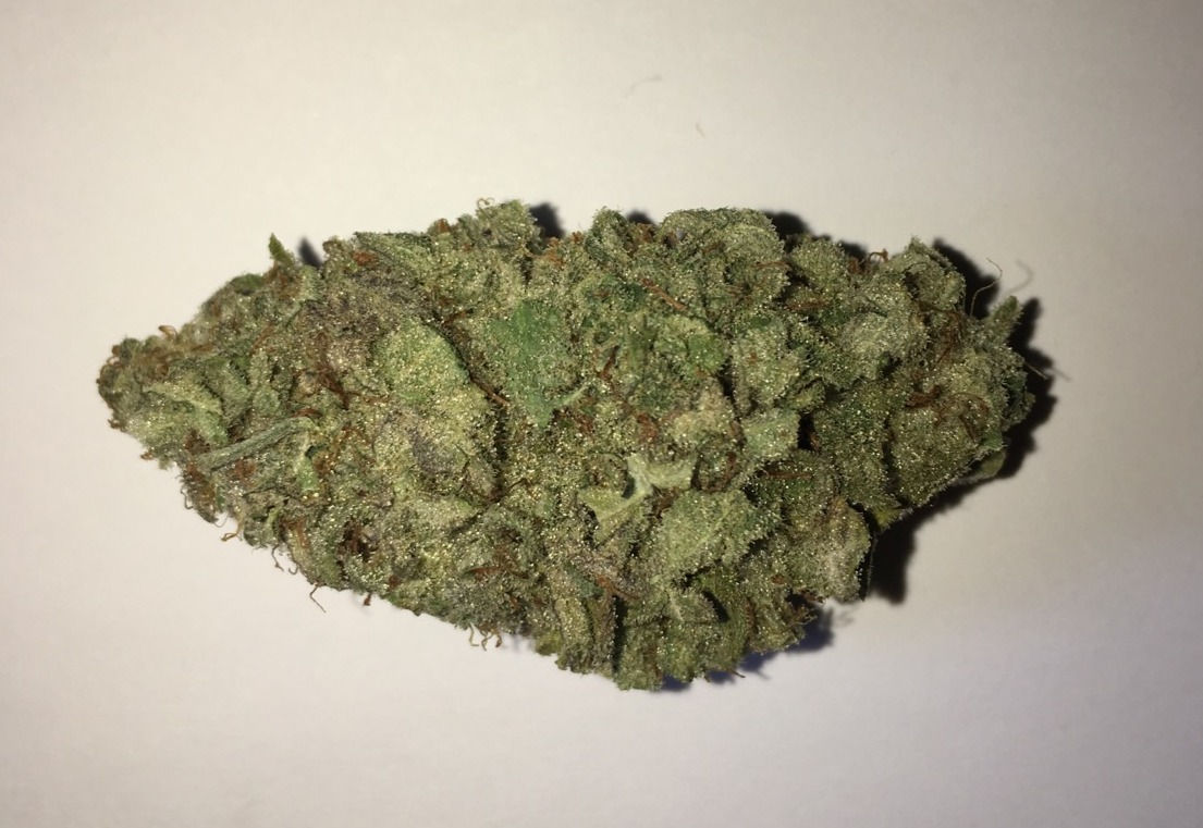 Silver Haze Sativa