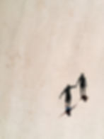 Thumbnail: Prints - 8x10"