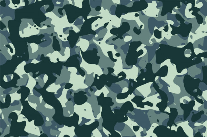 fondo-textura-tela-camuflaje-militar-ejercito_1017-26138 (1).jpg